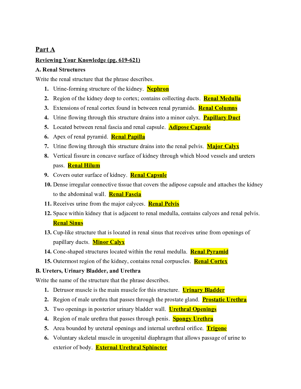 Preview image for BIOS 256 LAB 5 ASSIGNMENT